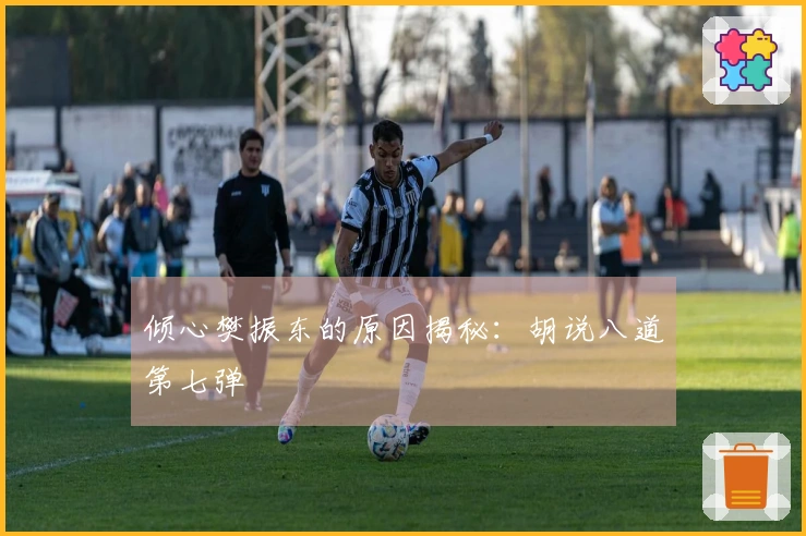 倾心樊振东的原因揭秘：胡说八道第七弹