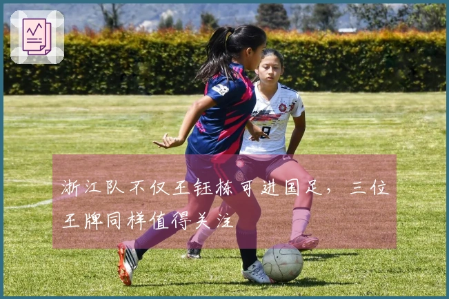 浙江队不仅王钰栋可进国足，三位王牌同样值得关注